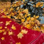 Les raisons d'acquérir une bâche pour voiture de qualité